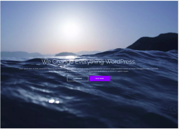 The Best Free WordPress Themes