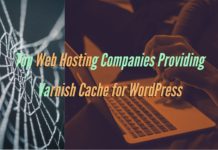 Top Web Hosting Companies Providing Varnish Cache for WordPress