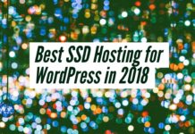 Best SSD Hosting for WordPress in 2018