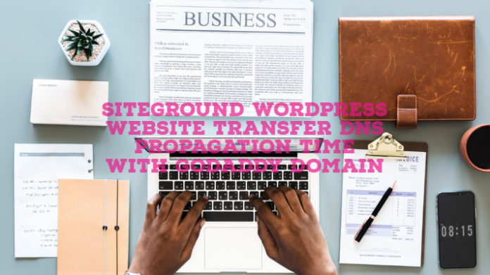 SiteGround WordPress Website Transfer DNS Propagation Time With GoDaddy Domain